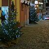 Üppig: In der Laufenburger Altstadt sorgen rund 80 Bäum für festliche Stimmung. Diese kommen seit rund 30 Jahren aus eigenem Anbau.