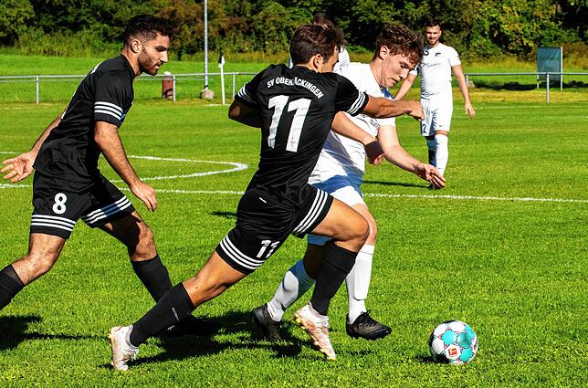 Bild 6: SV Rheintal siegt mit 3:0 beim SV Obersäckingen &ndash; und wir haben Bilder!