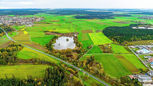 Bleibt hier am Mönchsee nordwestlich von Villingen nun auf unbestimmte Zeit alles so, wie es ist? In diesem Bereich soll irgend wann ...
