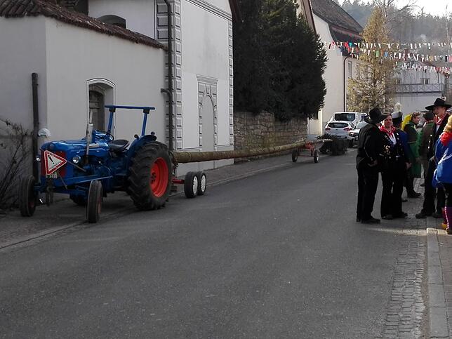 Bild 4: Narrentage 2020: Die Halle bebt beim Partyabend am Festsamstag mit der &bdquo;Froschenkapelle Radolfzell&ldquo; im Festzelt