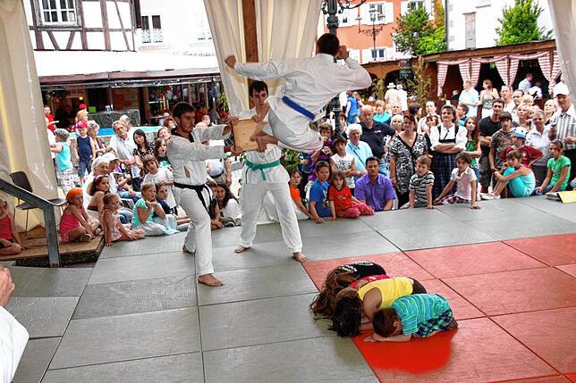 2010: Für Aufsehen sorgten während des Stadtfestes 2010 Kampfsportvorführungen. Gerade wird mit einem Sprung ein Holzbrett zerteilt.