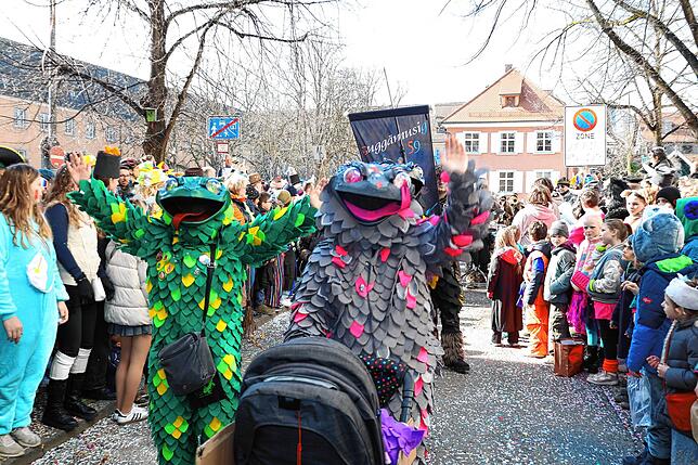 Bild 9: Konstanzer Fasnachtsumzug 2025: Die besten Bilder aus der Altstadt