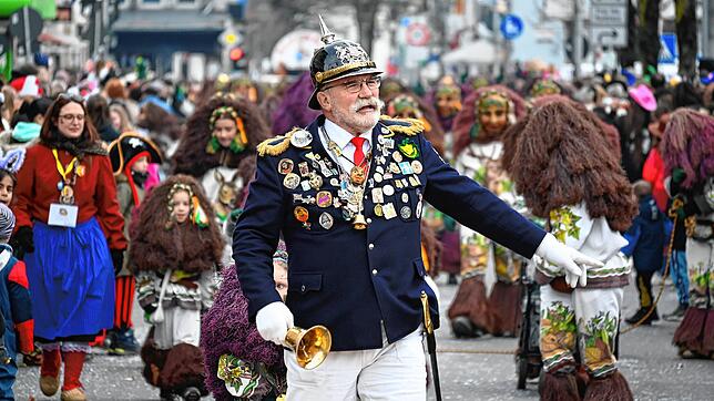 Bild 3: Großer Häfler Narrensprung in der Innenstadt &ndash; Teil 2