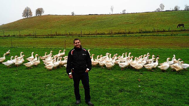 Thorsten Möller hat sich mit seiner Gänseschar einen Traum erfüllt. Er zieht 80 Gänse groß, die er als Braten zu Martini oder ...