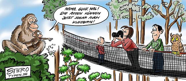 Bild 13: Karikatur der Woche: Überlingen hat sie jetzt, die Halle für jeden Sport und alle Bälle