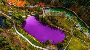 Der Gipsbruchweiher bei Füssen hat sich lila verfärbt.