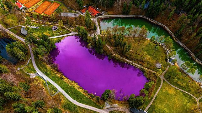 Der Gipsbruchweiher bei Füssen hat sich lila verfärbt.
