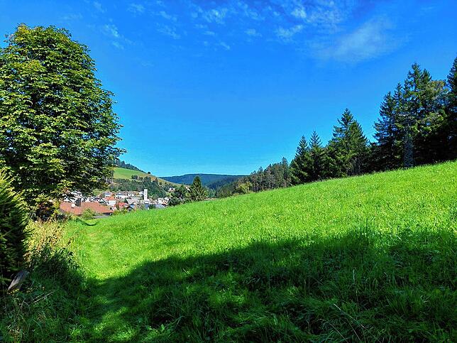 Das neue Gütenbacher Baugebiet am Wirtsbuck ist erschlossen. Die Grundstücke werden derzeit vermarktet.