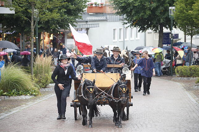 Auch dieses Ponygespann wird durchfährt die Karlstraße auf dem Weg zur Empfangszeremonie.