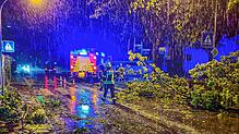 Die Feuerwehr Langenargen räumt abgebrochene Äste von einer Straße.