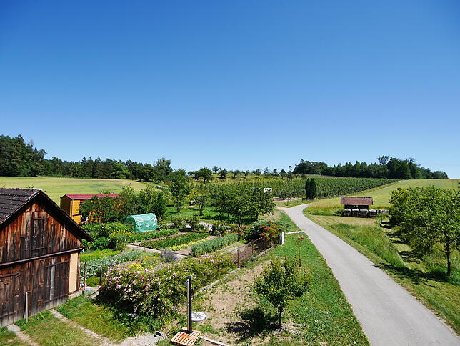 Blick in die Natur: Wer auf dem Biolandhof Urlaub macht, kann Ruhe und das Leben auf dem ökologisch bewirtschafteten Bauernhof genießen.