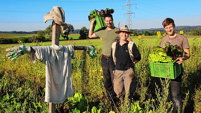 Die &bdquo;Rehscheuche&ldquo; soll die Rehe vom Feld abhalten (von links): Steffen Niehl, Franziska Schmitz und Severin Rommeler bei der ...