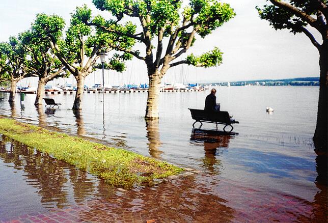Bild 3: Hochwasser am Bodensee 1999: Diese Leserbilder zeigen das Ausmaß in Konstanz
