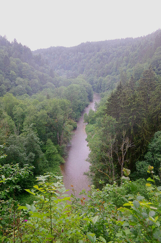 Die wilde Natur der Wutachschlucht lockt immer mehr Wanderer an.
