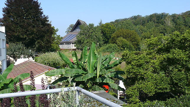 Blick vom Balkon eines Hauses im Alten Bannweg auf das Grundstück, das bebaut werden soll