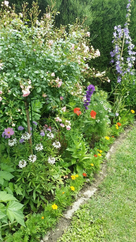 Bild 21: #SKverbindet: Das sind die schönsten Gartenprojekte unserer Leser