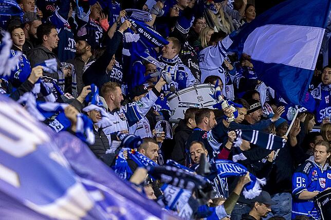 Bild 10: Die Wild Wings siegen wieder in der Deutschen Eishockey-Liga