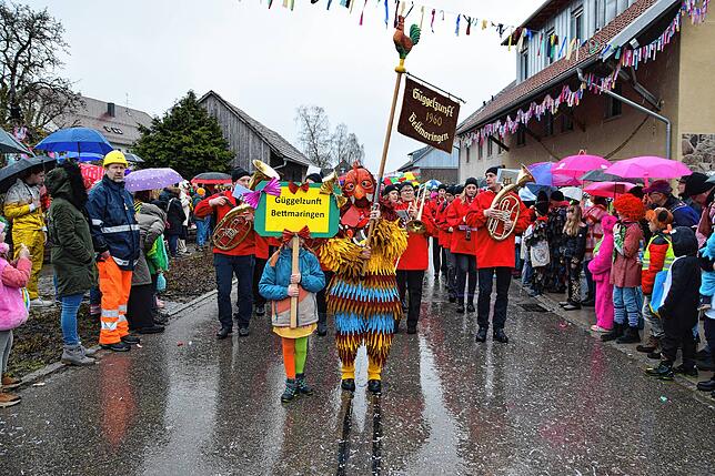 Bild 33: Schlüchttalnarrentreffen in Nöggenschwiel: So beeindruckend war das Event