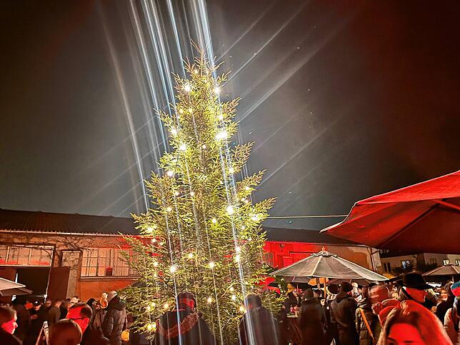 Bild 2: 20 Jahre Weihnachtsflair im Fürstenberg-Marstall: Impressionen der Donaueschinger Weihnachtswelt