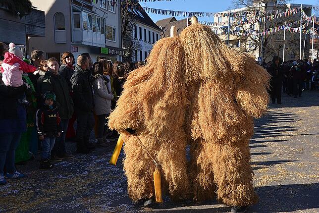 Bild 1: Bilder vom Narrentreffen der Urviecher-Zunft Bad Dürrheim: Großer Festumzug (3)
