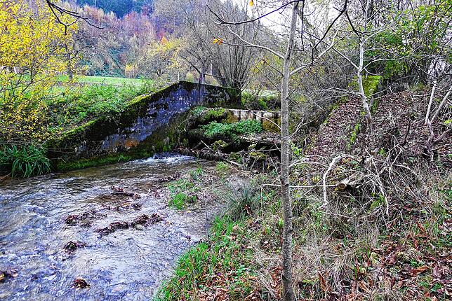 Die Aach fließt gewöhnlich recht ruhig durch das Römerwehr bei Obersiggingen, dass demnächst abgebrochen und durch eine Fischtreppe ...