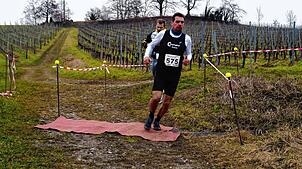 Bild : Bilder vom Crosslauf Hegau-Bodensee in den Reben oberhalb der Haltnau