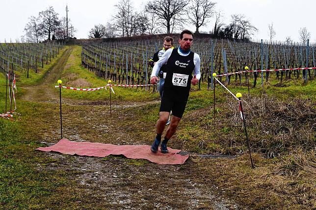 Bild 1: Bilder vom Crosslauf Hegau-Bodensee in den Reben oberhalb der Haltnau