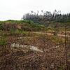 Weniger als 100 Meter von der Grenze entfernt plant der Kanton Zürich eine Mülldeponie in der ehemaligen Lehmgrube der Rafzer Ziegelei. ...