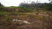 Weniger als 100 Meter von der Grenze entfernt plant der Kanton Zürich eine Mülldeponie in der ehemaligen Lehmgrube der Rafzer Ziegelei. ...