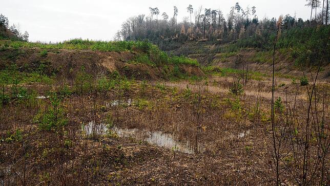 Weniger als 100 Meter von der Grenze entfernt plant der Kanton Zürich eine Mülldeponie in der ehemaligen Lehmgrube der Rafzer Ziegelei. ...