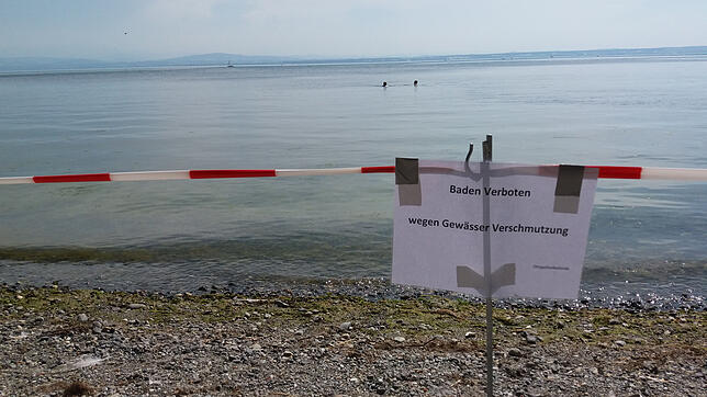 Nicht jeder respektiert das Badeverbot am Strand vom Freizeitgelände &bdquo;Alter Campingplatz&ldquo; in Fischbach.