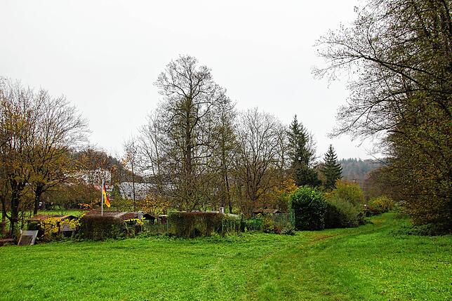 Entlang der Mahlspürer Aach verlaufen die Stockacher Kleingärten. In diesem Bereich soll in den kommenden Jahren der Aachpark entstehen.