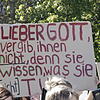 Am nächsten Mittwoch wird im Gemeinderat über den Klimaschutz auf örtlicher Ebene diskutiert. Klimaschutz-Aktivisten haben bereits eine ...