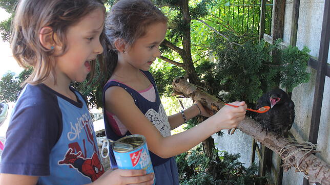 Metti (links) und Lilli kümmern sich rührend um ihr Findelkind, den jungen Raben &bdquo;Birdy&ldquo;, der die Kinder auch gerne fliegend ...
