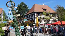Ob das Wetter in diesem Jahr auch so mitspielt wie 2019? Damals fand das letzte Maibaumstellen in Kippenhausen statt &ndash; vor Corona.