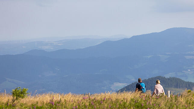 Wer es über den aktuell sehr hartnäckigen Hochnebel hinaus packt, der sich vielerorts im südlichen Baden-Württemberg festgesetzt hat, ...