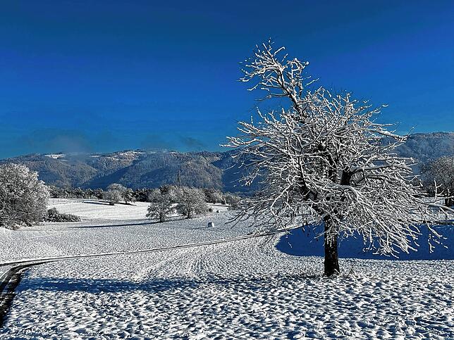 Winterliche Impression auf dem Dinkelberg.