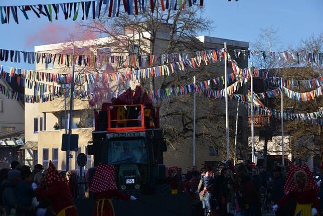 Bild 9: Bilder vom Narrentreffen der Urviecher-Zunft Bad Dürrheim: Großer Festumzug (4)