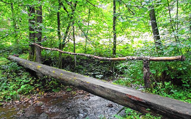 Der Wandersteg 19 im vergangenen Herbst: dringender Handlungsbedarf.