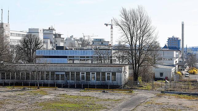 Eigentlich soll der Gemeinderat Abwägungs- und Satzungsbeschluss zum Bebauungsplan Bücklestraße Süd fällen. Doch es entbrennt eine ...