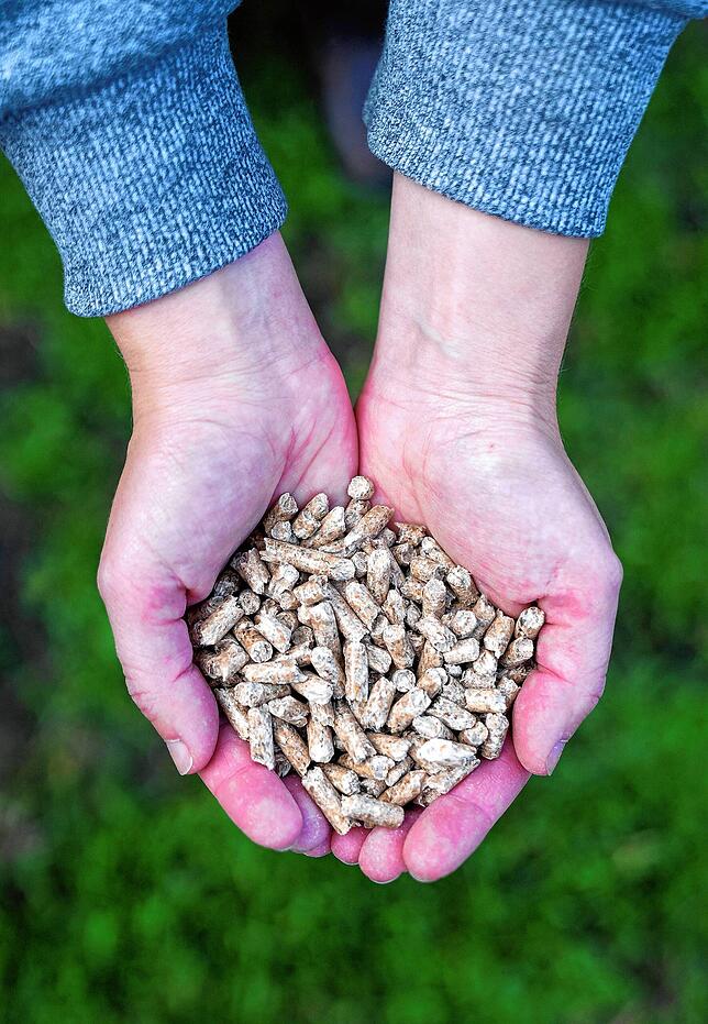 So sehen Pellets aus. Hergestellt werden sie aus Holz oder Holzresten wie Sägespänen.