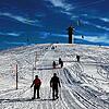 Der harmlose Berg? Am flachen Rücken des Feldberg tummeln sich Winterfreunde. An seinen steilen Flanken kann er gefährlich werden. Ein ...