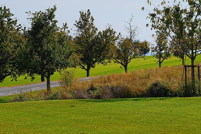 Die Blühwiese und viele alte Obstbäume machen den Golfplatz nicht nur für Insekten attraktiv, sondern bieten auch etwas fürs Auge der ...