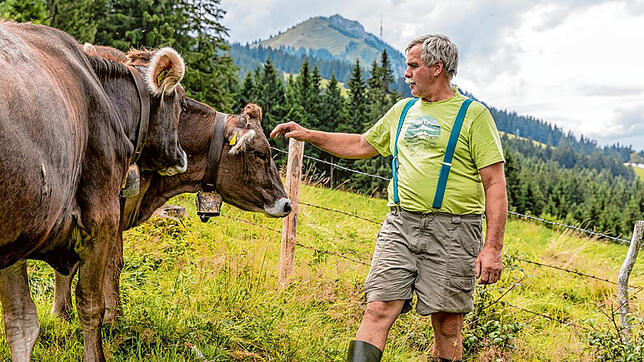 Der Allgäuer Bauer Konrad Müller sorgt sich um das Wohl seiner Rinder. Er vermutet einen Wolf hinter dem Tod zweier Kälber.