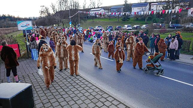 Bild 14: Zunftmeisterempfang und Dämmerungsumzug der Narrenzunft Untersigginger Füchse (2/2)