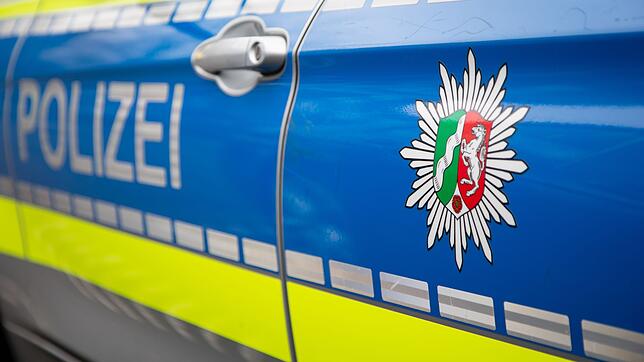 Die Polizei rückt zu einem größeren Einsatz in Mannheim aus. (Symbolbild)