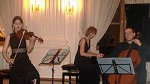 Das Klaviertrio Würzburg mit Katharina Cording, Geige, Karla-Maria Cording, Klavier, und Peer-Christoph Pulc, Cello, beim Auftritt in ...
