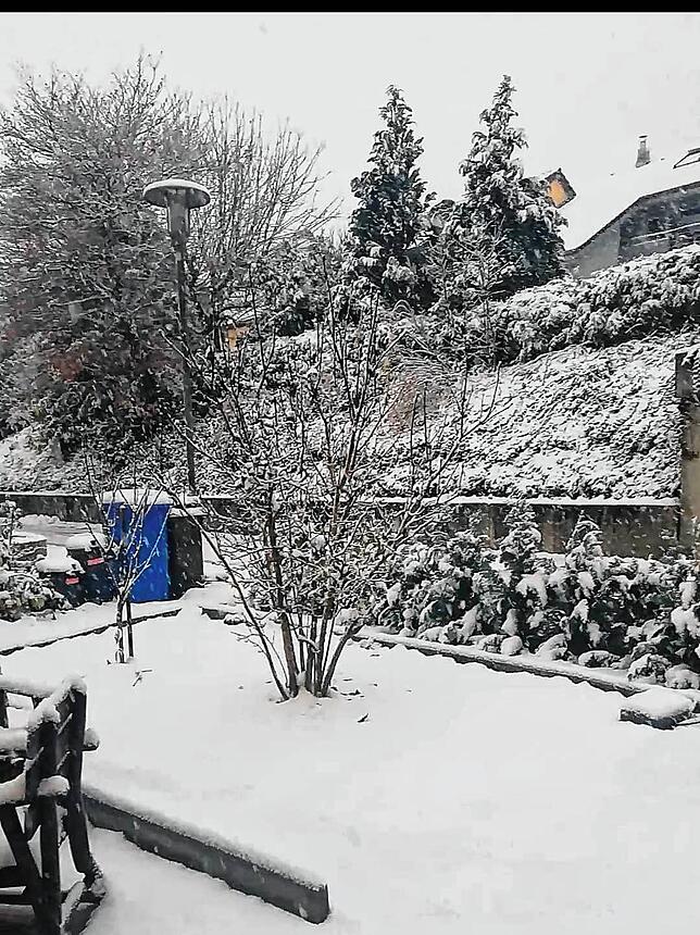 Diese winterliche Aufnahme sandte uns Katja Kittlaus aus Bad Säckingen.