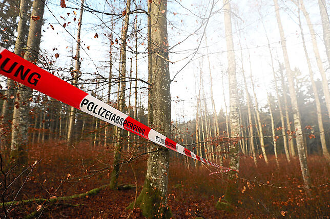 Im Dezember 2016 wird in diesem Waldstück bei Behla ein menschlicher Schädelknochen entdeckt. Die Person kann zwar identifiziert werden, ...