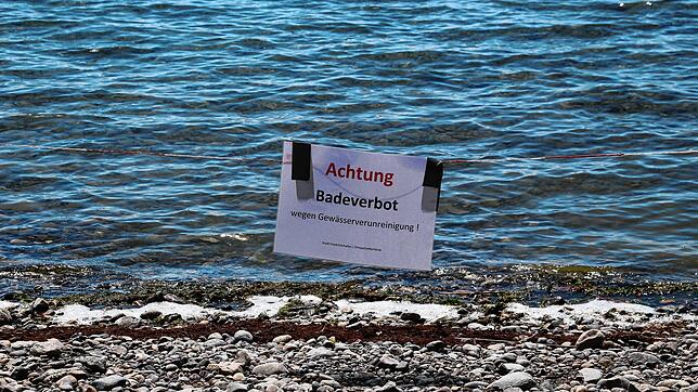 Das Badeverbot gilt in Manzell und Fischbach.